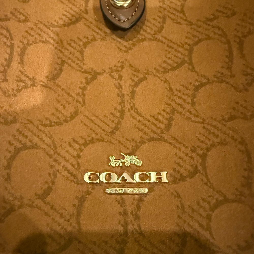 Coach Hadley Mini Suede Bag - Picture 3 of 15